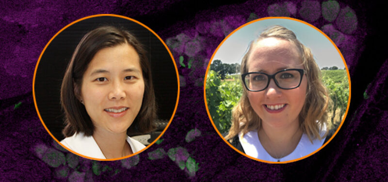 Announcing the 2018 Rita Allen Foundation Award in Pain Scholars